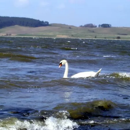 Urlaub Mit Boddenblick *